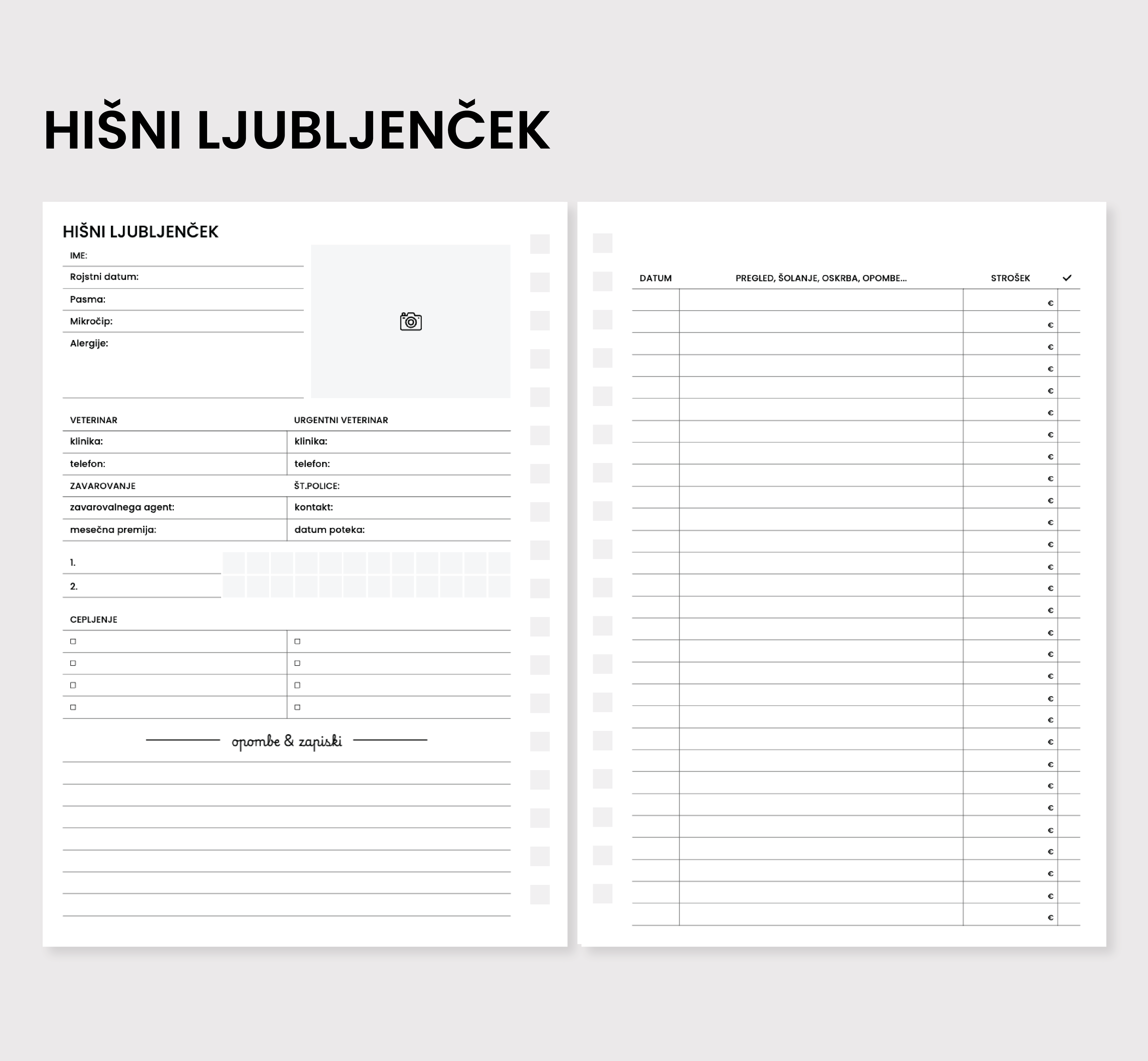 Hišni ljubljenček